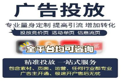 深度解析：SEM竞价优化提升ROI的案例